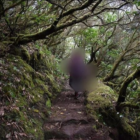 Monte Verde Chinamada المظهر الخارجي الصورة