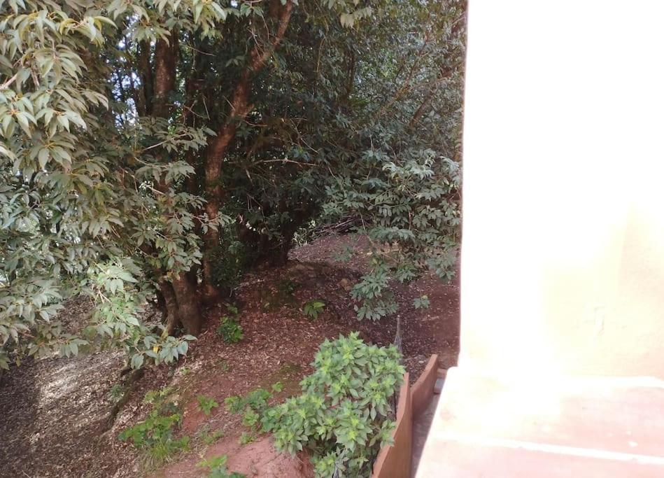 Monte Verde Chinamada المظهر الخارجي الصورة
