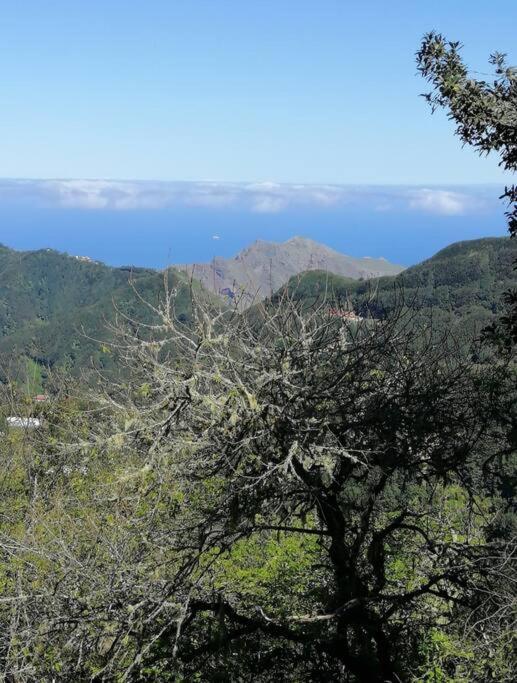 Monte Verde Chinamada المظهر الخارجي الصورة