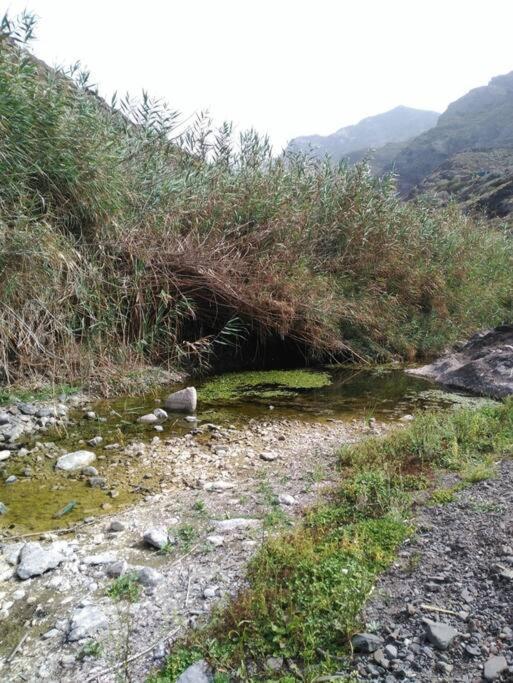 Monte Verde Chinamada المظهر الخارجي الصورة