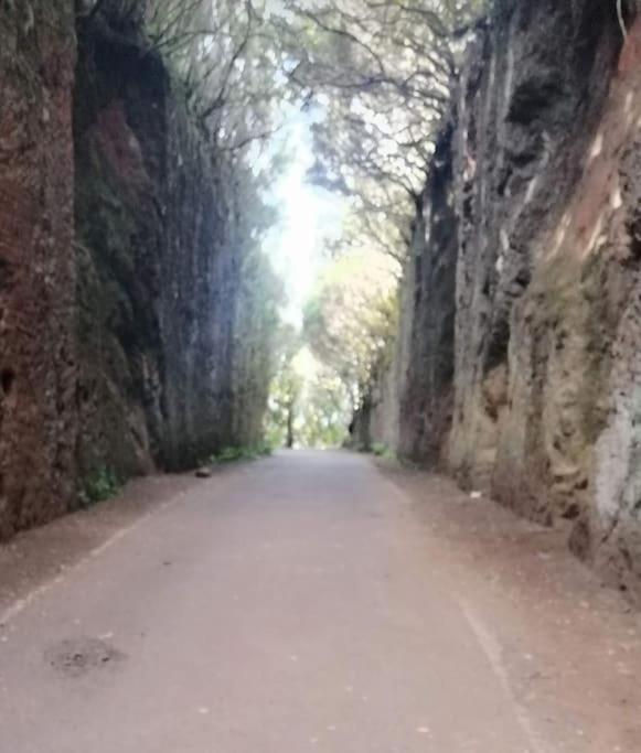 Monte Verde Chinamada المظهر الخارجي الصورة