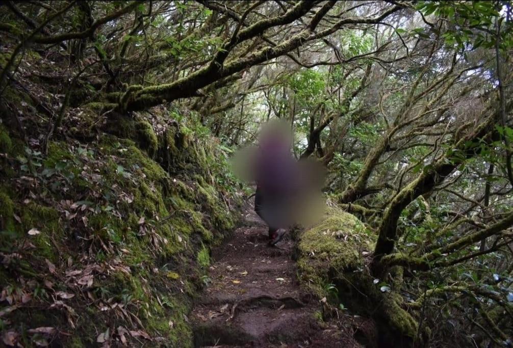 Monte Verde Chinamada المظهر الخارجي الصورة