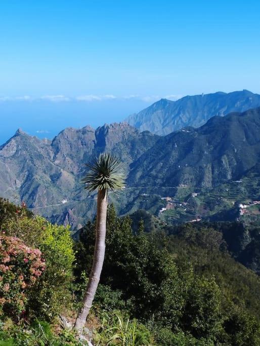Monte Verde Chinamada المظهر الخارجي الصورة