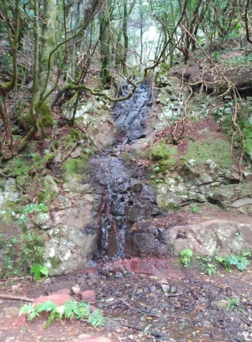 Monte Verde Chinamada المظهر الخارجي الصورة